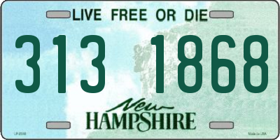NH license plate 3131868