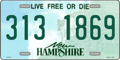 NH license plate 3131869