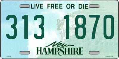 NH license plate 3131870