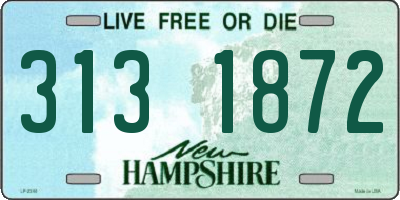 NH license plate 3131872