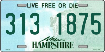 NH license plate 3131875