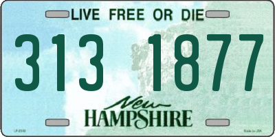 NH license plate 3131877