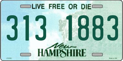 NH license plate 3131883