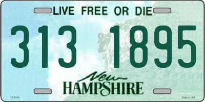 NH license plate 3131895