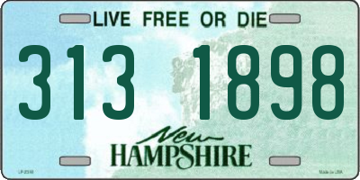 NH license plate 3131898