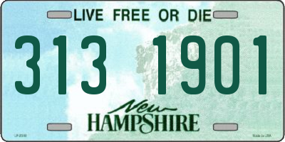 NH license plate 3131901