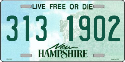 NH license plate 3131902