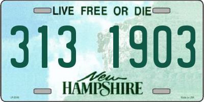 NH license plate 3131903