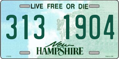 NH license plate 3131904