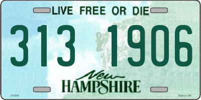 NH license plate 3131906
