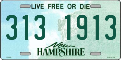 NH license plate 3131913
