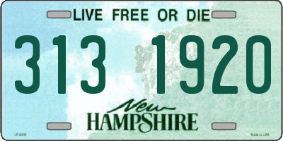 NH license plate 3131920