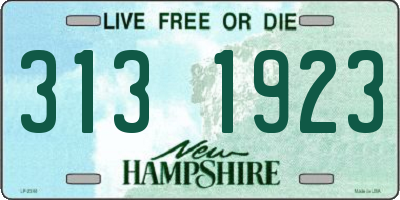 NH license plate 3131923
