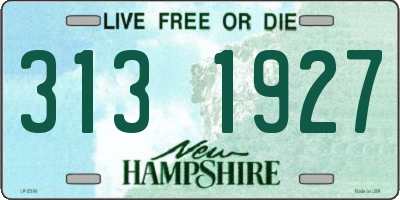 NH license plate 3131927