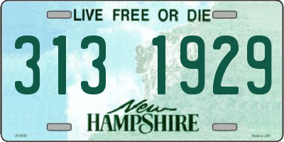 NH license plate 3131929