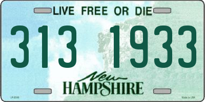 NH license plate 3131933
