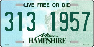 NH license plate 3131957