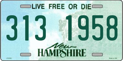 NH license plate 3131958