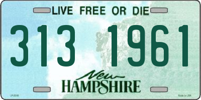 NH license plate 3131961