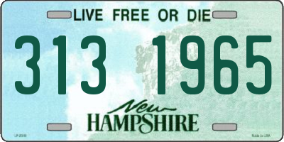 NH license plate 3131965