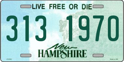 NH license plate 3131970
