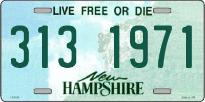 NH license plate 3131971