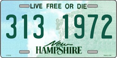 NH license plate 3131972