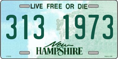 NH license plate 3131973