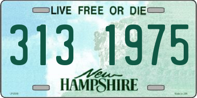 NH license plate 3131975