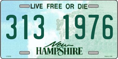 NH license plate 3131976