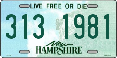 NH license plate 3131981