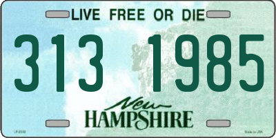 NH license plate 3131985