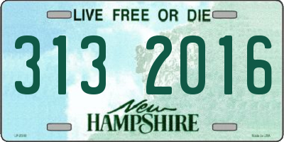 NH license plate 3132016