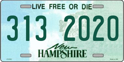 NH license plate 3132020