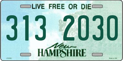 NH license plate 3132030