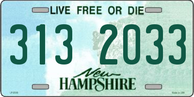 NH license plate 3132033