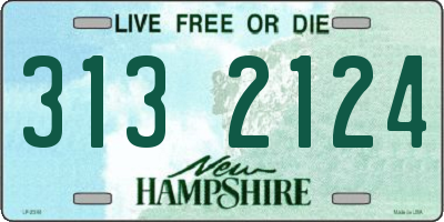 NH license plate 3132124
