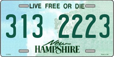 NH license plate 3132223