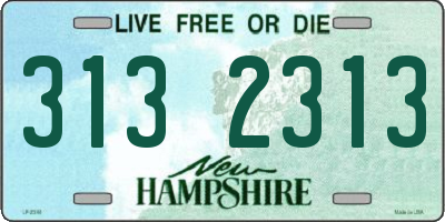 NH license plate 3132313
