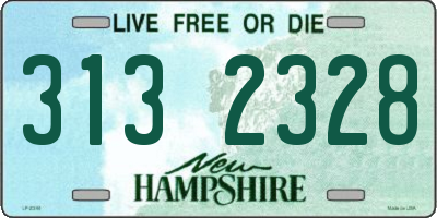 NH license plate 3132328