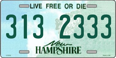NH license plate 3132333