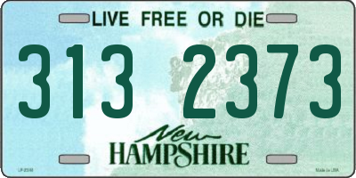 NH license plate 3132373