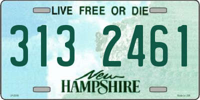 NH license plate 3132461