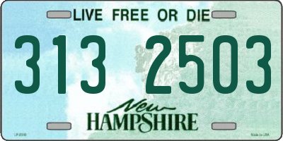 NH license plate 3132503