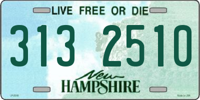NH license plate 3132510
