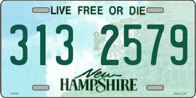 NH license plate 3132579