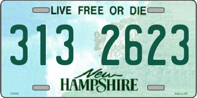 NH license plate 3132623