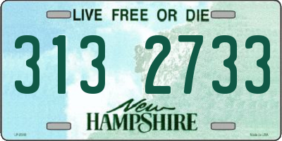 NH license plate 3132733