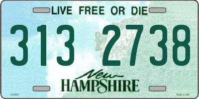 NH license plate 3132738