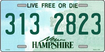 NH license plate 3132823